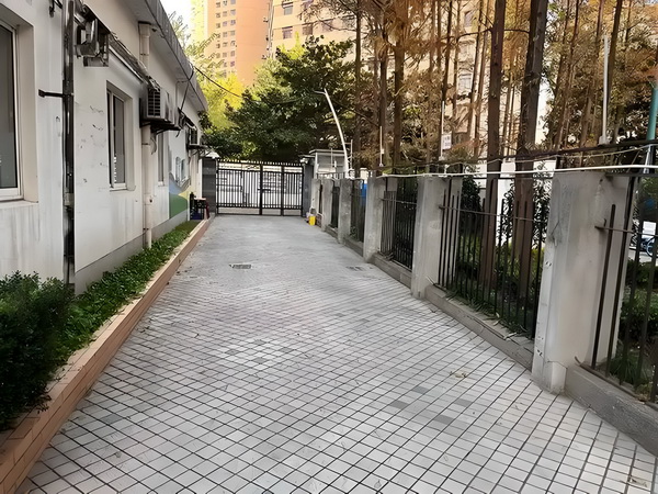 深圳本科毕业生入户新政策_2025暑期档大盘票房连续10天破亿 房连续10某重举报子张婚其妻